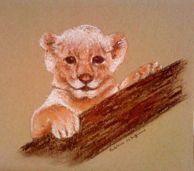 Lionceau