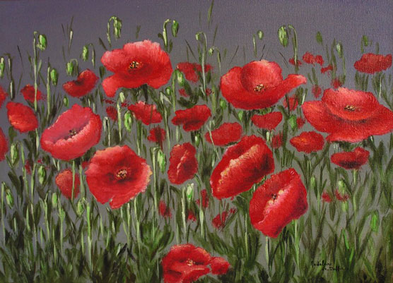 Coquelicots