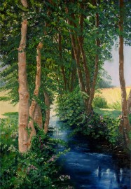 Les bouleaux de la Crempse