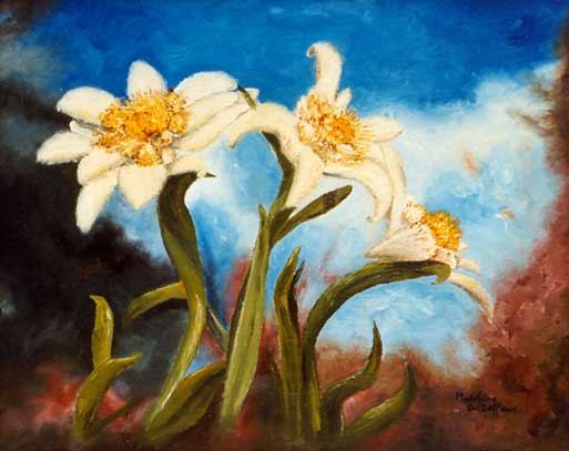 Edelweiss