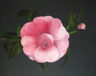 ピンクの花  (Pink no Hana)