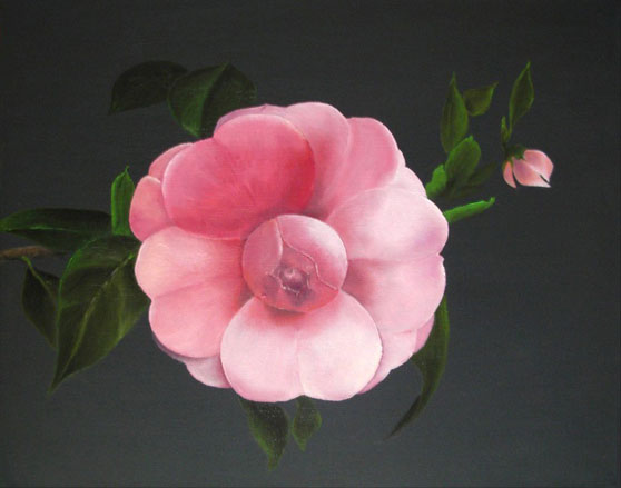 ピンクの花  (Pink no Hana)