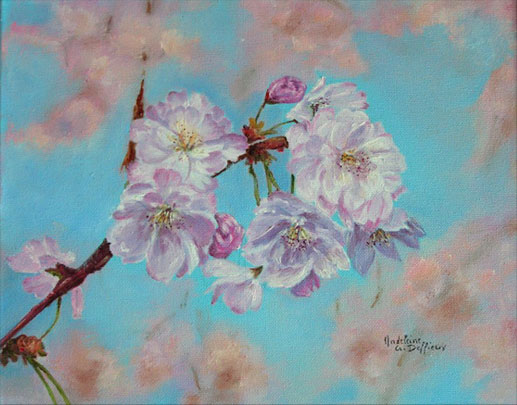 Fleurs de cerisier