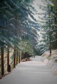 Forêt Vosgienne