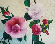 Camélias