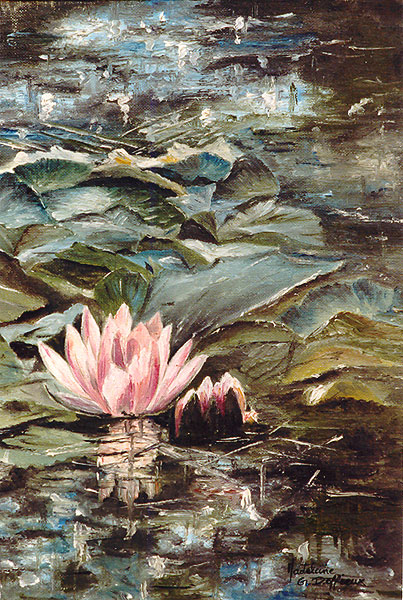 Nymphéas roses