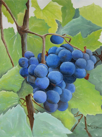 Raisin bleu