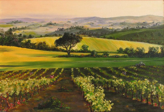 Vignobles Toulousains