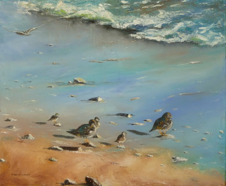 Oiseaux bord de mer181