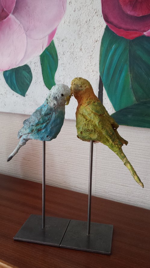 Mes Perruches