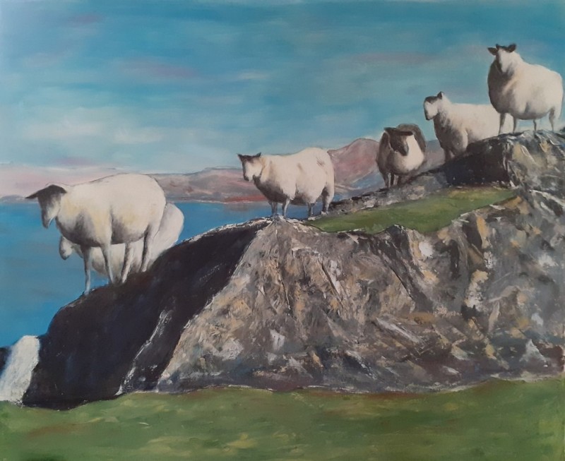 Moutons Irlandais 1
